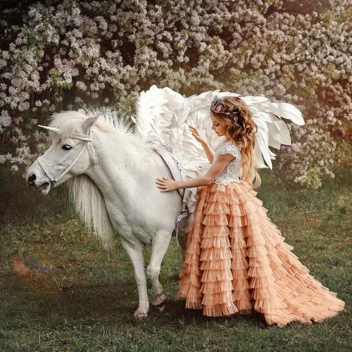 Photo #10383986
