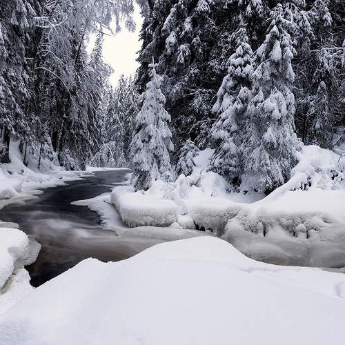 Photo #10384205
