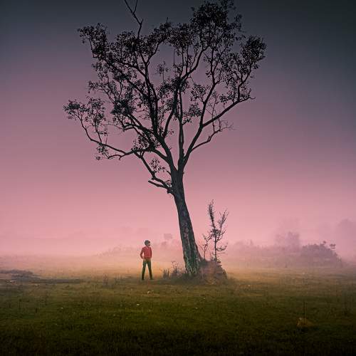 Photo #10384447
