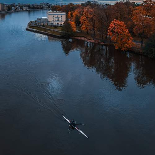 Photo #10384540