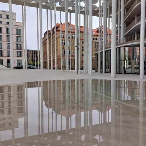 Photo #10384586