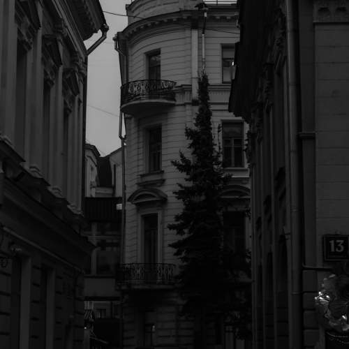 Photo #10384590
