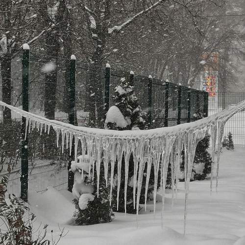 Photo #10384634