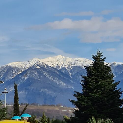 Photo #10384664