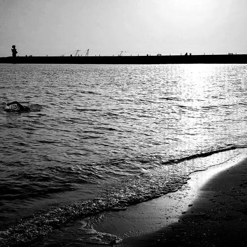Photo #10384888