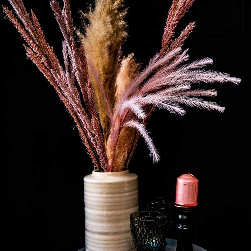 Photo #10385239