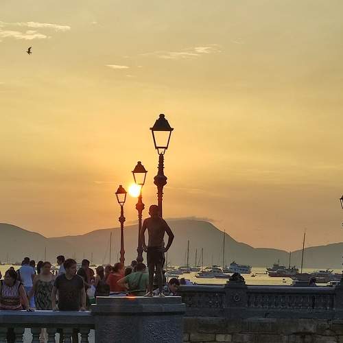 Photo #10385268