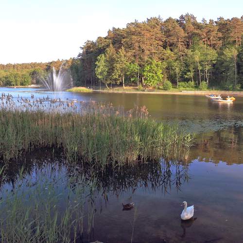 Photo #10385361