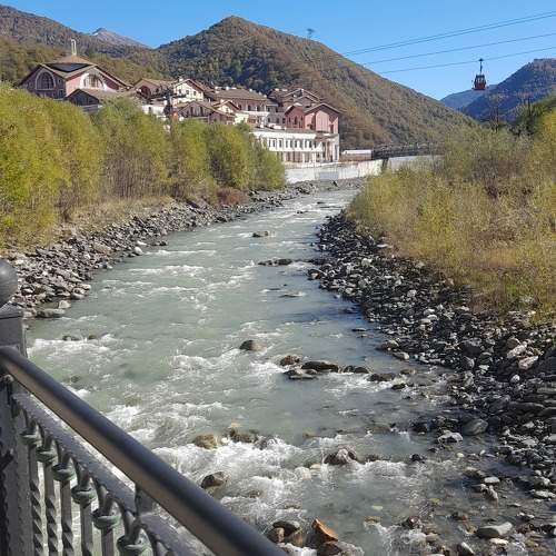 Photo #10385440