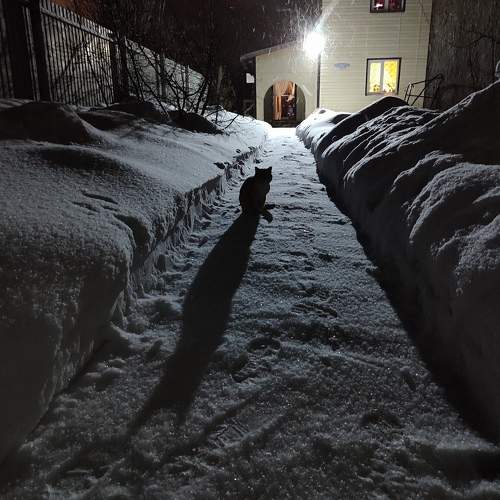 Photo #10385489