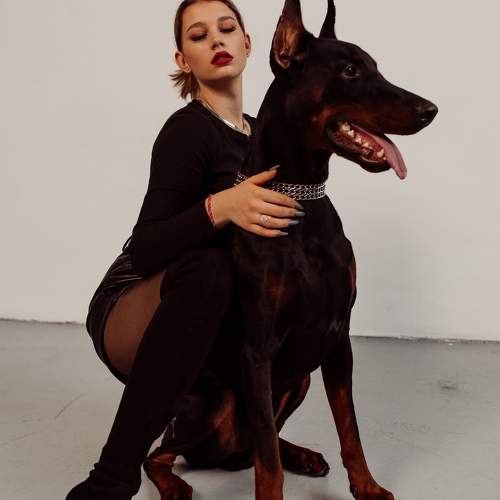 Photo #10385506