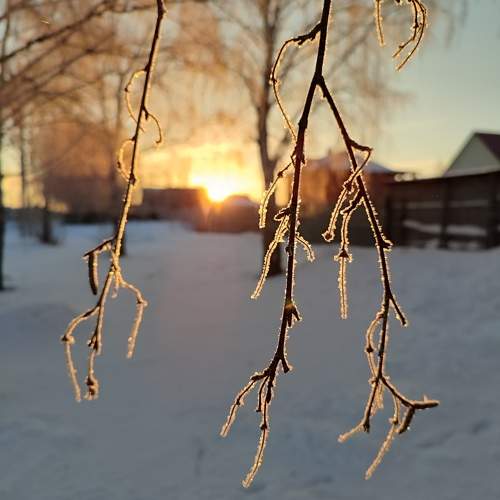 Photo #10386187