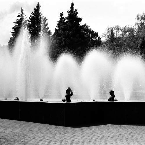 Photo #10386205