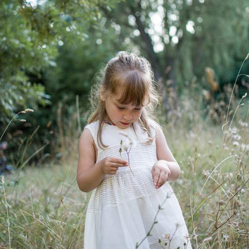Photo #10386451