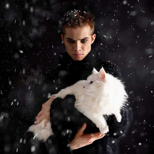 Photo #10386543