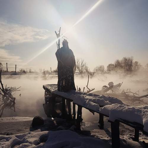 Photo #10386571