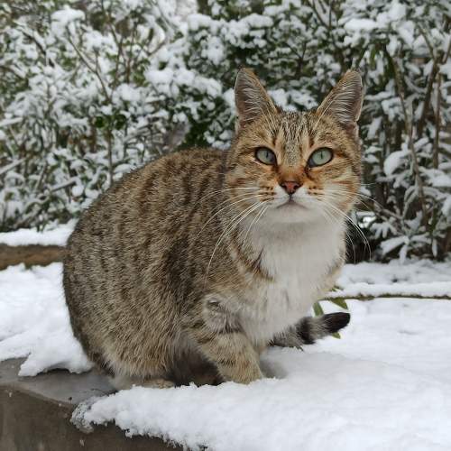 Photo #10386588