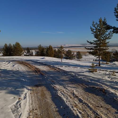 Photo #10386590