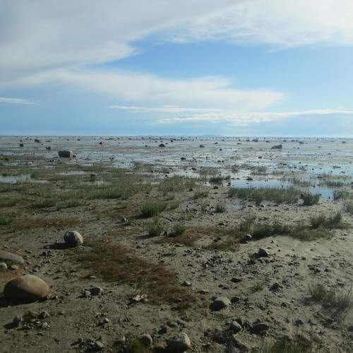 Photo #10386640