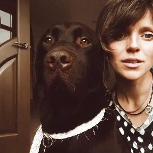 Photo #10386708