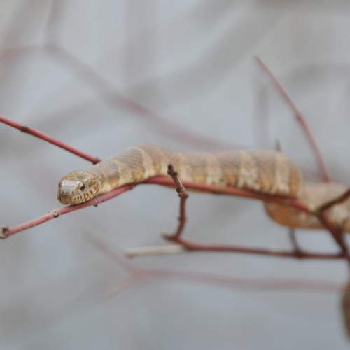 Photo #10386799