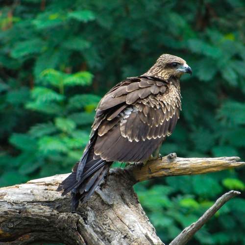 Photo #10386806