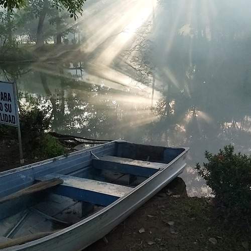 Photo #10386947