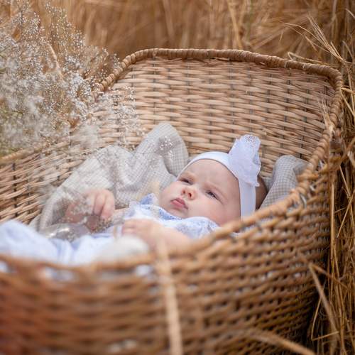 Photo #10386993