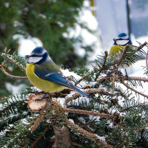 Photo #10387171