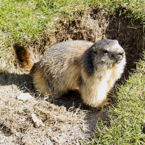 Photo #10387294