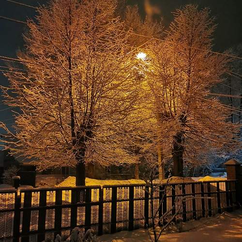 Photo #10387341