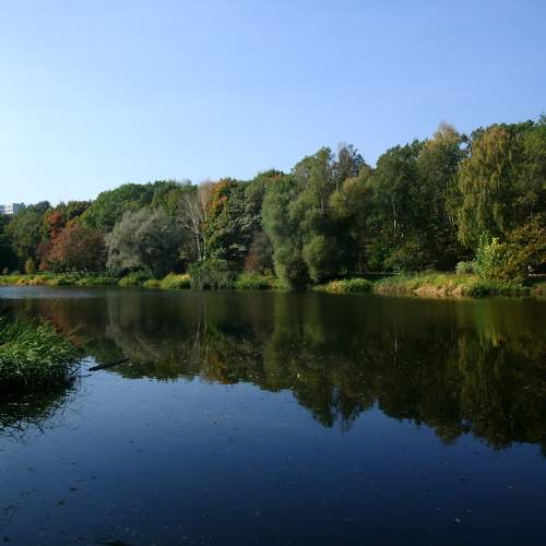 Photo #10387356