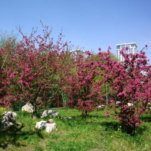 Photo #10387387