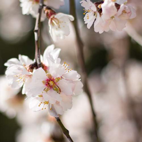 Photo #10387435