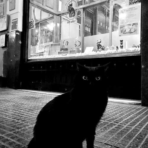 El Gato Negro