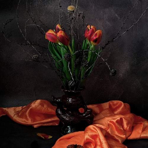 Photo #10387601