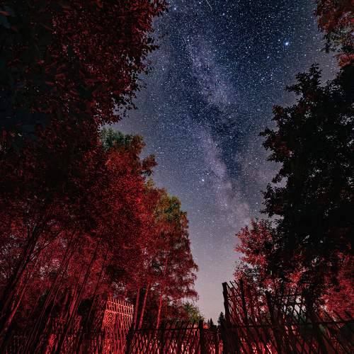 Photo #10387719