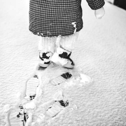 Photo #10387767