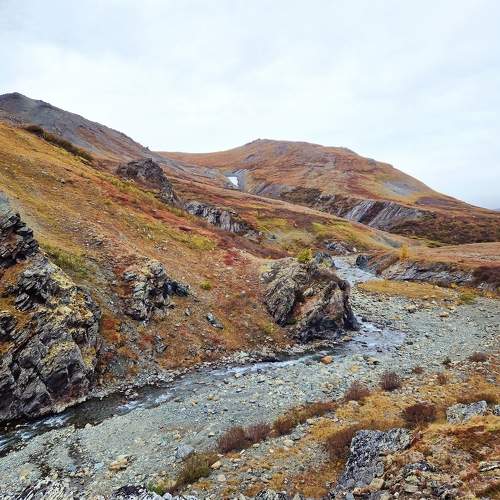 Photo #10388016