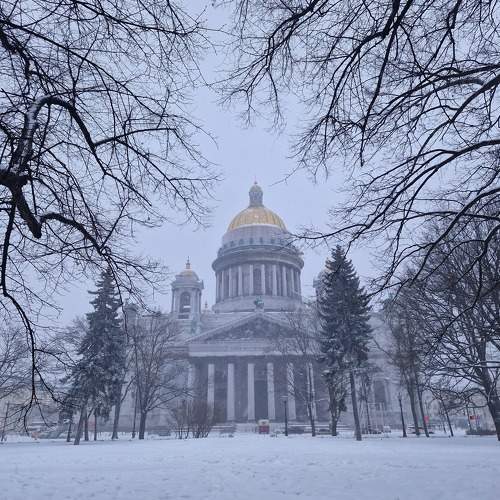 Photo #10388038