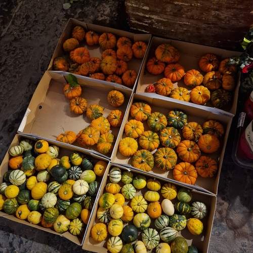 Photo #10388386