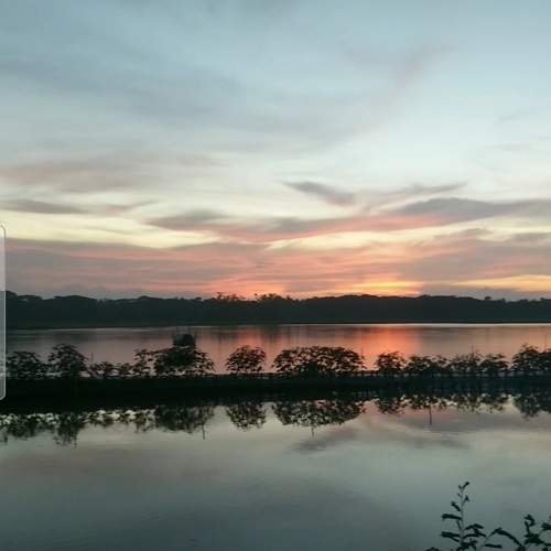 Photo #10388451