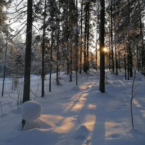 Photo #10388475
