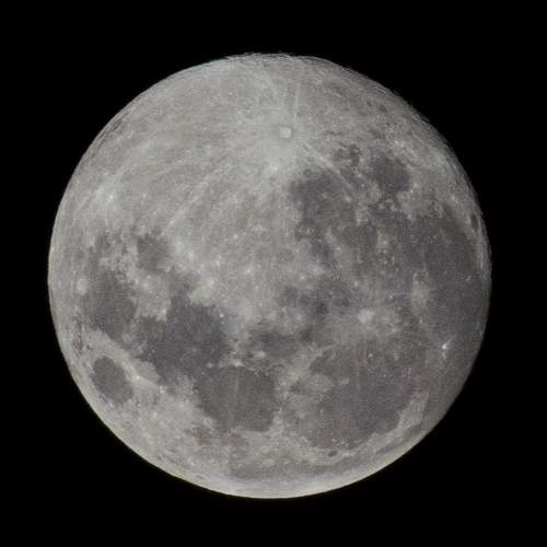 Photo #10388503