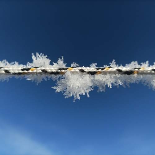 Photo #10388704