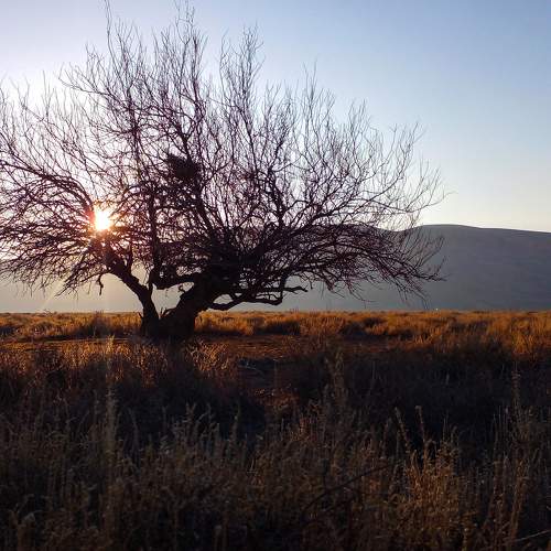 Photo #10388736