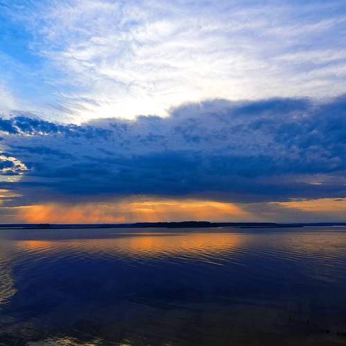 Photo #10388968