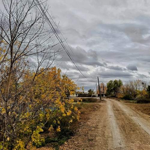 Photo #10389070