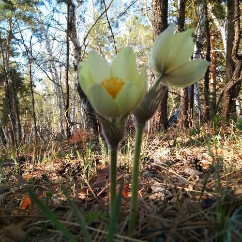 Photo #10389096