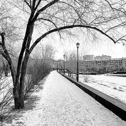 Photo #10389157